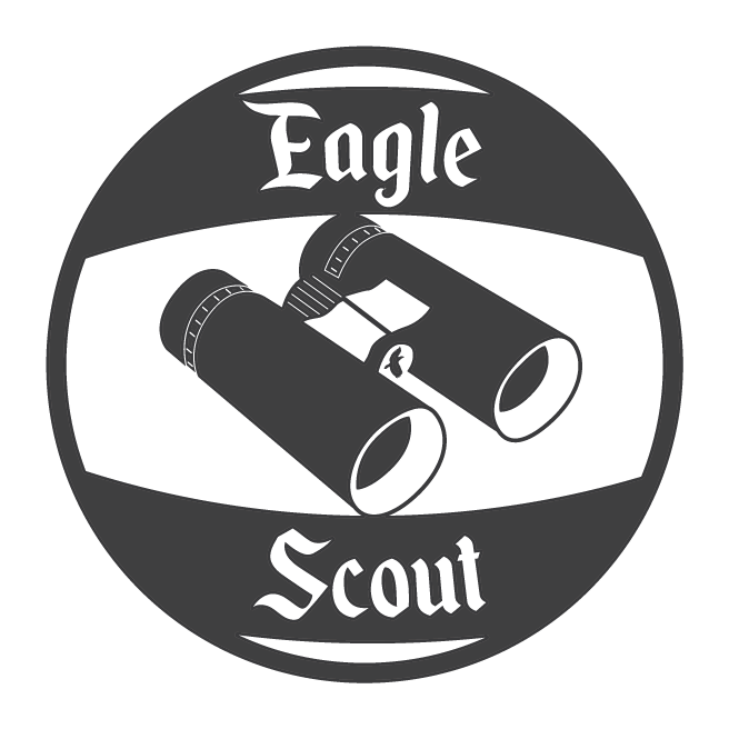 Rival Eagle Scout Logo